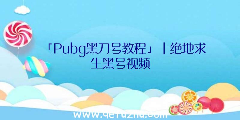 「Pubg黑刀号教程」|绝地求生黑号视频